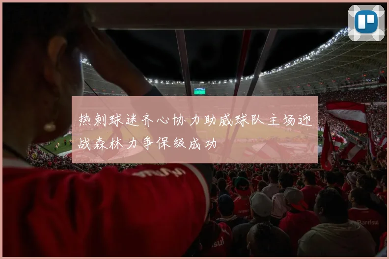 热刺球迷齐心协力助威球队主场迎战森林力争保级成功